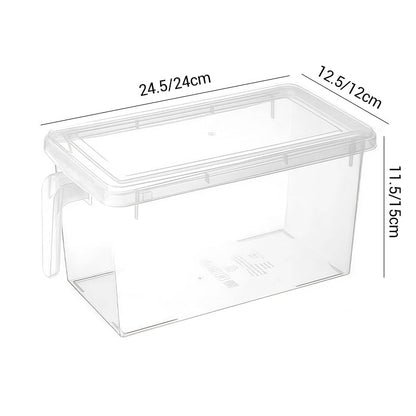 Transparent Food Storage Container with Lid