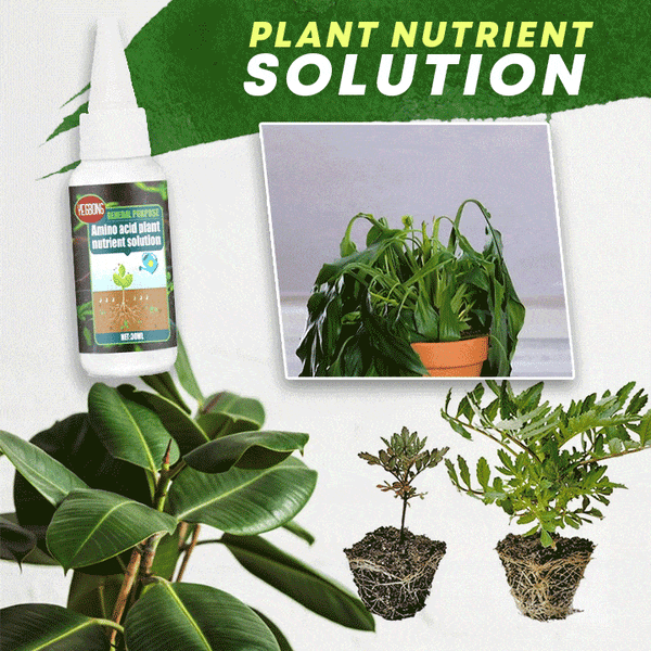 🔥Compre 2 e leve 1 grátis (3 unidades)🔥Solução nutritiva para plantas