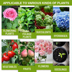 🔥Compre 2 e leve 1 grátis (3 unidades)🔥Solução nutritiva para plantas
