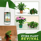 🔥Compre 2 e leve 1 grátis (3 unidades)🔥Solução nutritiva para plantas