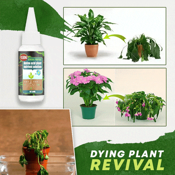 🔥Compre 2 e leve 1 grátis (3 unidades)🔥Solução nutritiva para plantas