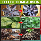 🔥Compre 2 e leve 1 grátis (3 unidades)🔥Solução nutritiva para plantas